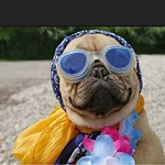 Profile Picture of Jessica Mullins (@jessica.mullins98) on Flickr