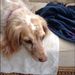 Profile Picture of Paul Kavanagh (@pdkavanagh) on Pinterest