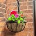 Profile Picture of Anne Halsall (@anne.halsall.75) on Facebook