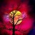 Profile Picture of Ladan Alave (@ladan.alave) on Facebook