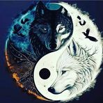 Profile Picture of Matthiew Creed (@matthieu.becourt.10) on Facebook