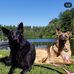 Profile Picture of Debbie Carrier (@debbie.carrier.790) on Facebook
