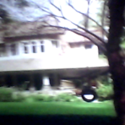 Profile Picture of Dina Arroyo (@DinaLucas96) on Twitter