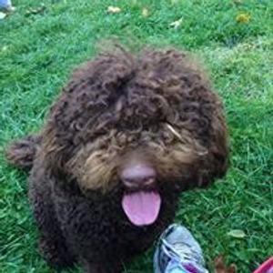 Profile Picture of Carrie Amidon Mcsheffrey (@carrieamidon.mcsheffrey) on Myspace