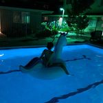 Profile Picture of Naomi Liu (@naomi_lzh) on Instagram