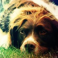 Profile Picture of Danielle Alvarez (@danielle-alvarez-4) on Quora