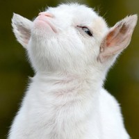 Profile Picture of Shaun Weaver (@shaun-weaver-15) on Quora