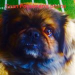 Profile Picture of Sean Fogelman (@sean_fogelman) on Instagram