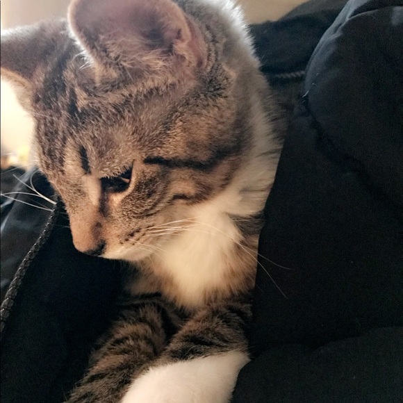 Emily Deveau - Poshmark Profile Picture of Emily Deveau (@deveauforever1) on Poshmark