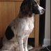 Profile Picture of Gordon Roberts (@gordonroberts11) on Pinterest