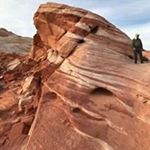 Profile Picture of Steve Frisbie (@wannadivesteve) on Instagram
