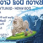 Profile Picture of Rick Evans (@byrondoggrooming) on Instagram