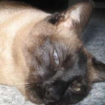 Profile Picture of Edward Roach (@ejroach) on Twitter