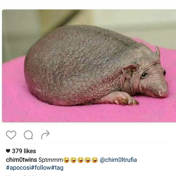 Profile Picture of Albert Moreno (@moreno2020) on Poshmark