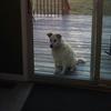 Profile Picture of Michele Carson (@@javeonpenik) on Tiktok
