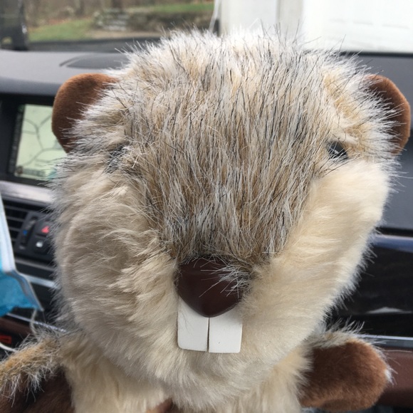 Sandra Mlodzinski - Poshmark Profile Picture of Sandra Mlodzinski (@puppylove2345) on Poshmark