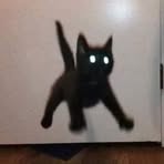 Profile Picture of Conan Bleu (@Conan-Bleu) on Facebook