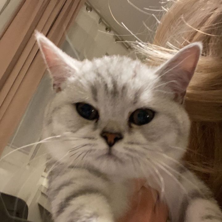 Profile Picture of iris (@irisljc) on Tiktok
