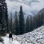 Profile Picture of lauravandermeer (@lauravandermeer) on Instagram