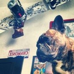 Profile Picture of Leonard Hall (@farerermatf) on Instagram