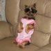 Profile Picture of Janice Decker (Janice Perkins Decker) (@janice.decker.167) on Facebook