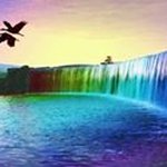 Profile Picture of Kelvin Bạch (@kelvin_bach) on Instagram