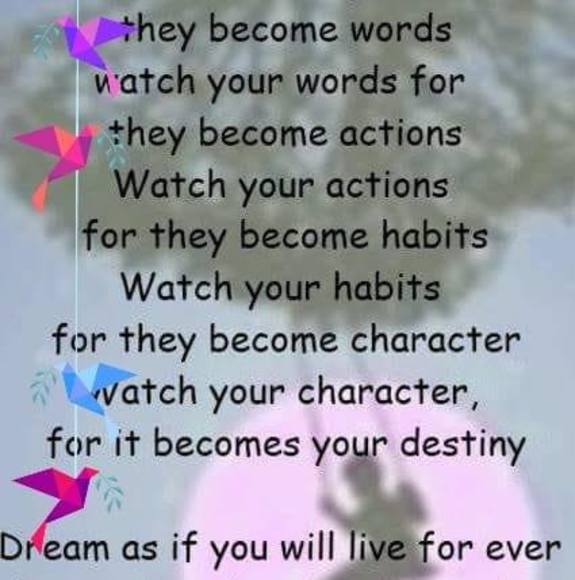 Profile Picture of Said Cht (@chaat555) on Poshmark