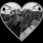 Profile Picture of Keith Thayer (@spiritginger) on Instagram