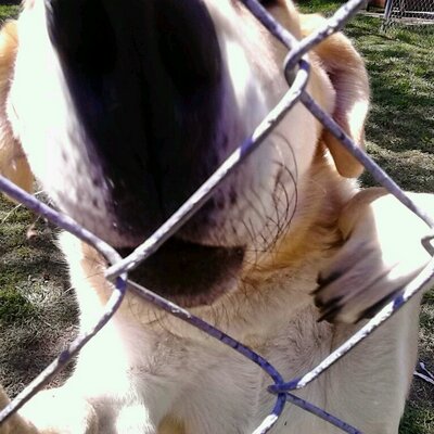 Profile Picture of Jonathan Lyles (@Lyles485Lyles) on Twitter