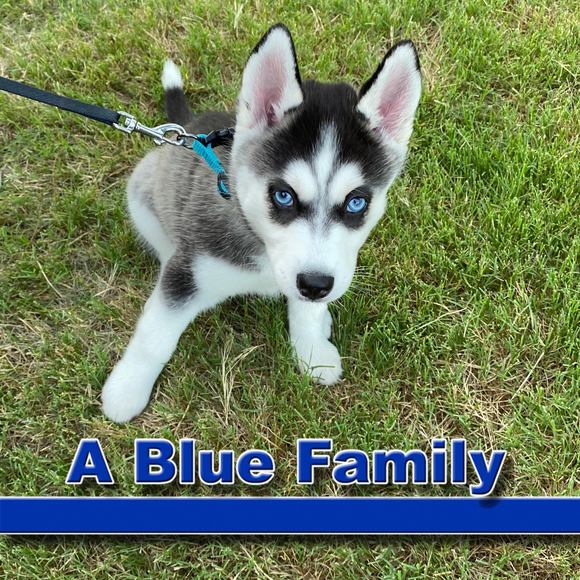 Profile Picture of Holly Randall reeves (@hollyrandall322) on Poshmark