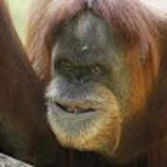 Profile Picture of Dillon Aikins (@daikins28) on Poshmark