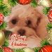 Profile Picture of Donna Kelley (@donna.kelley.359) on Facebook