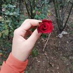 Profile Picture of Zu Zue May Hlaing (@zu_zue.35728466) on Instagram