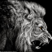 Profile Picture of James Nohl (@james-nohl-1) on Quora