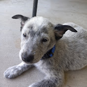 Profile Picture of Mikaela Martinez (@mikaelamartinez2638) on Youtube