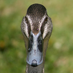 Profile Picture of Fishbourne Stuart (@Fishbourne Stuart) on Flickr