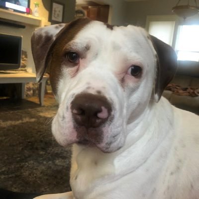 Profile Picture of Keith Kresge (@KresgeKeith) on Twitter