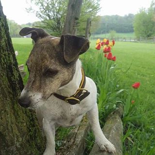 Profile Picture of Bathurst Jefferson (@bathurst.jefferson) on Facebook