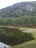 Profile Picture of Craigellachie National Nature Reserveon Wikipedia