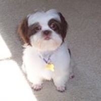 Profile Picture of Robert Lozon (@robert-lozon-1) on Quora