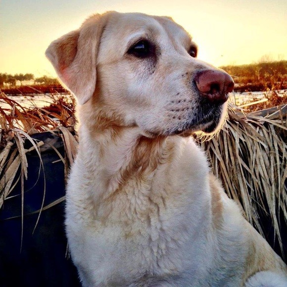 Profile Picture of Beth Poppell (@bpoppell) on Poshmark