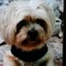 Profile Picture of Bruce Parrish (@bruce.parrish.52) on Facebook