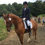 Profile Picture of Daniel Olley (@danielolley_paradressage) on Instagram