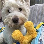 Profile Picture of Stanley Copping (@stanleyygram) on Instagram