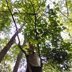 Profile Picture of Danielle Heron705 (@danielleheron1) on Tiktok