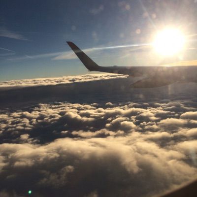 Profile Picture of brocktibbitts (@brocktibbitts) on Tiktok