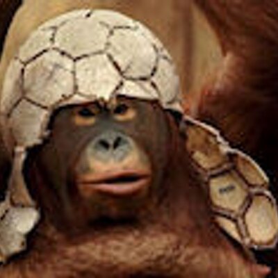 Profile Picture of James Sayers (@Gibbergibb) on Twitter