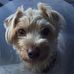 Profile Picture of Lisa Jarvis (@lisa.jarvis.9277) on Facebook