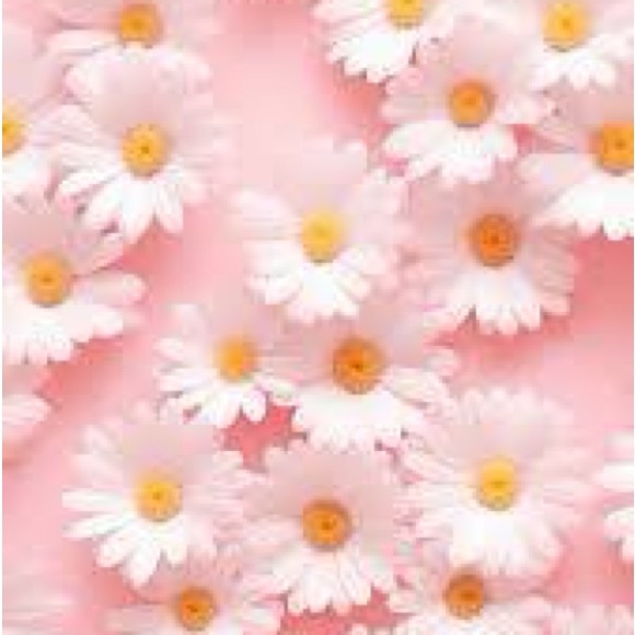 Profile Picture of Kylie Vanator (@pineapple334) on Poshmark