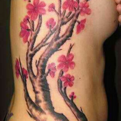 Profile Picture of Lisa LeBron (@Lise_LeBron) on Twitter